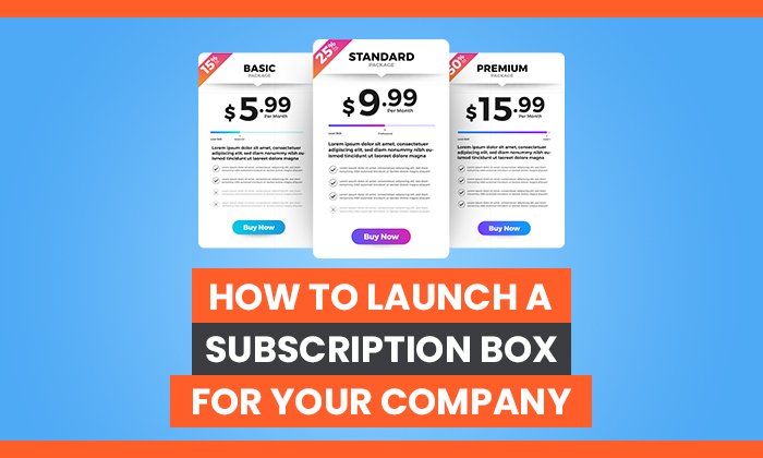 How to Launch a Subscription Box For Your Company