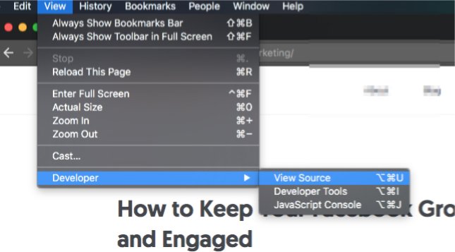 h1 tag - how to view source code the long way