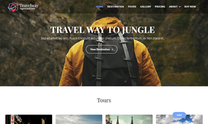 Best WordPress Themes