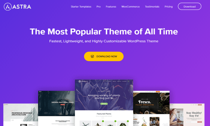 Best Ecommerce WordPress Themes