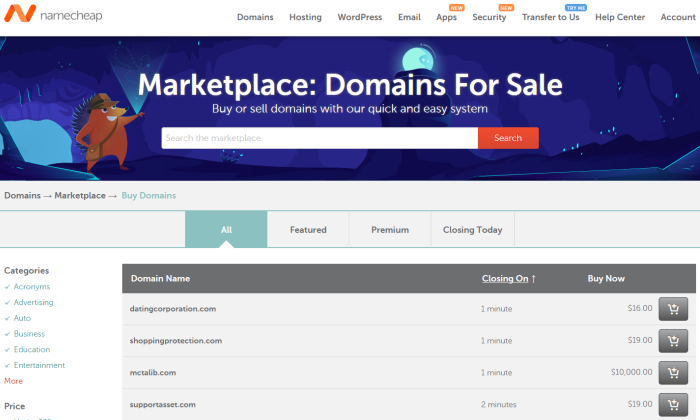 Best Domain Brokers