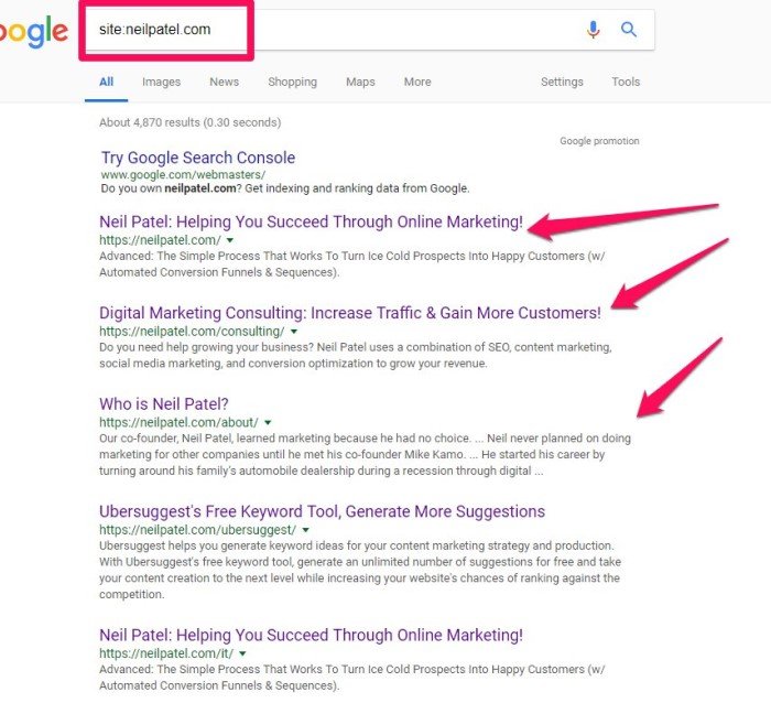 technical seo audit - root domain search