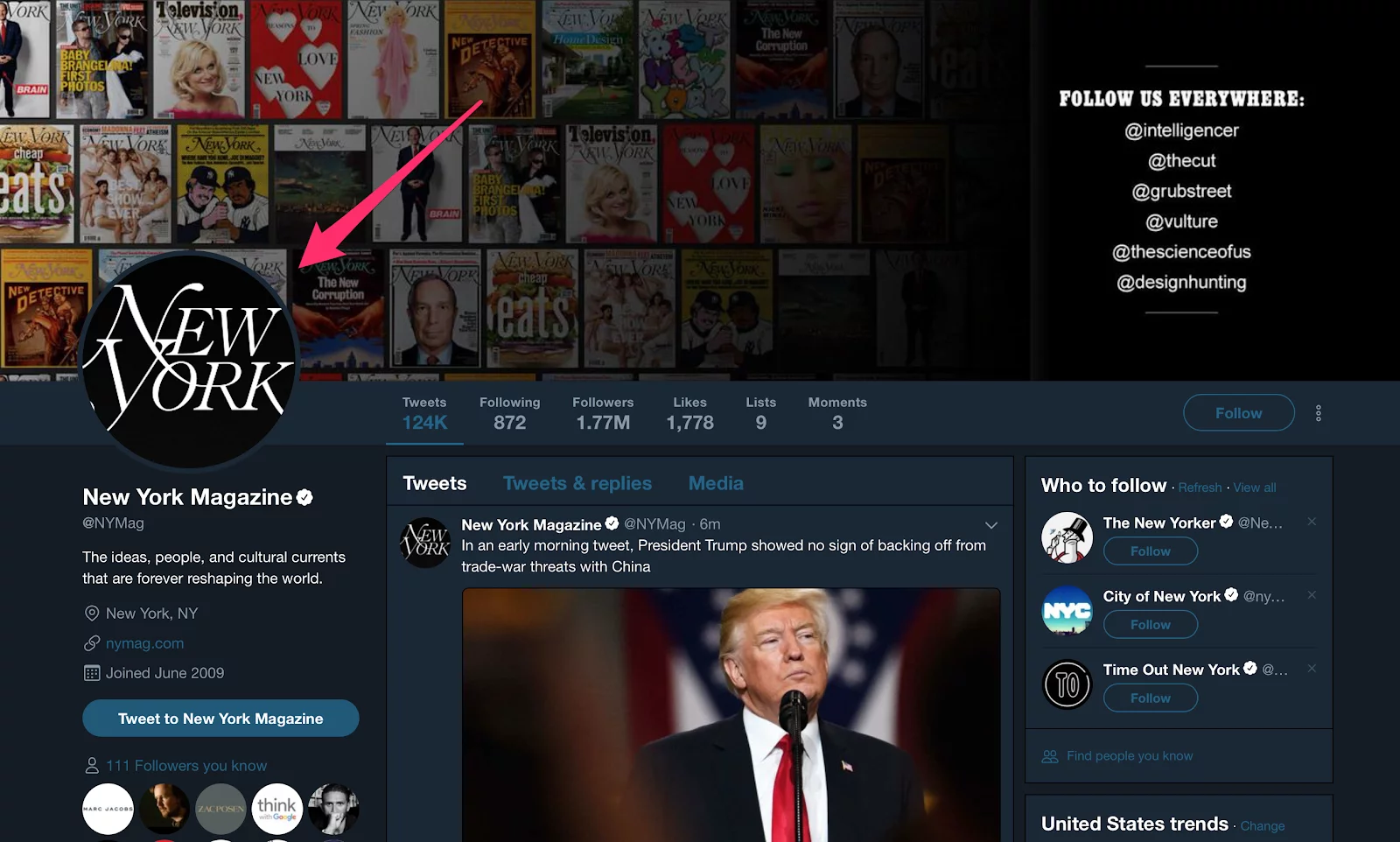 New York Magazine NYMag Twitter follower guide 