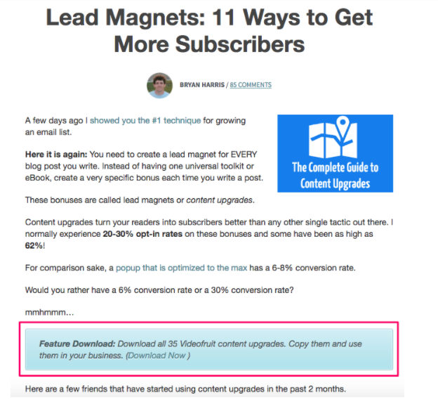 lead magnet example video fruit 