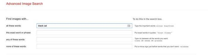 text-based queries for google advanced image search
