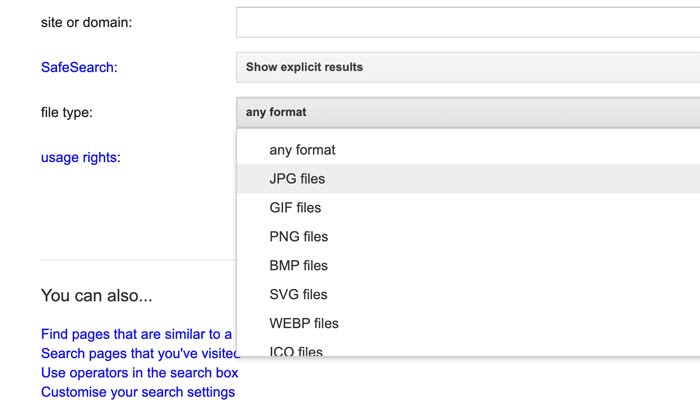 file type filter on Google advanced image search