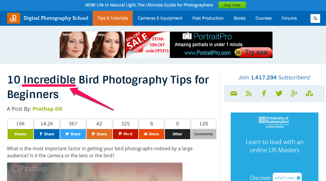 A screenshot reading "10 incredibly bird photography tips for beginners" as a headline.
