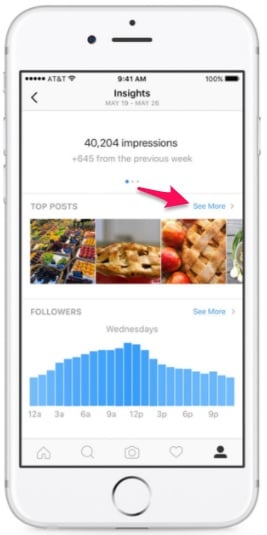 Insta insights social media audit 