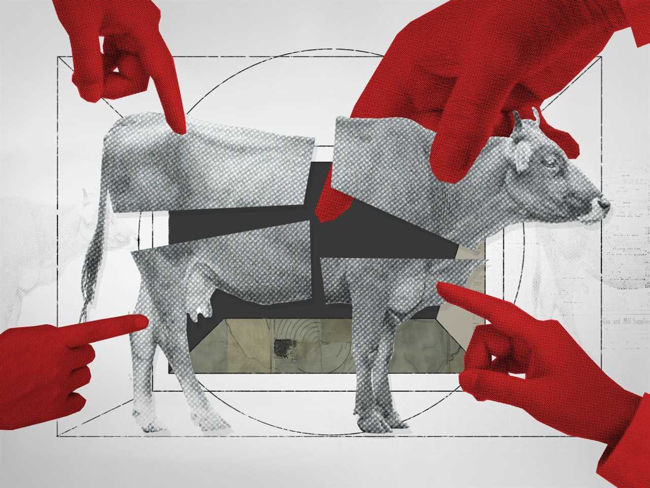 What 4 Companies Do to Control the Beef Industry?