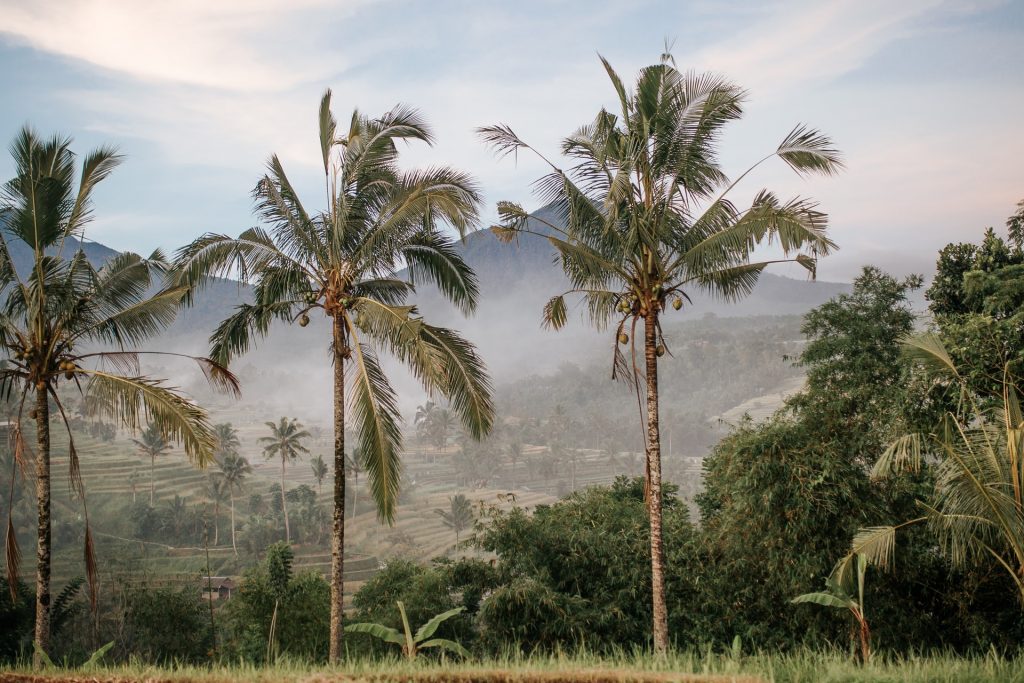 In October, Bali will reopen to tourists from 4 countries.