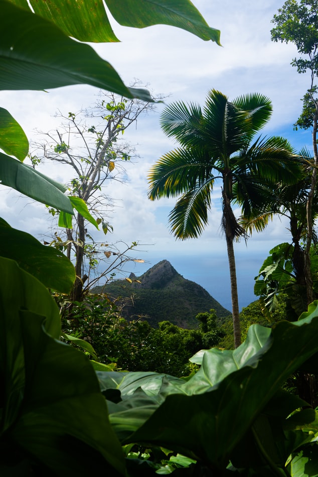 Saba, Caribbean Island