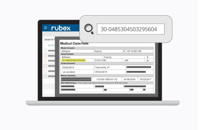 Rubex example interface for Best Document Management Software