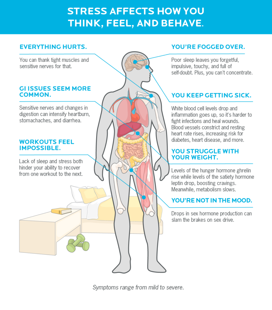 Graphical depiction of a human body with text pointing to various areas. According to the text, stress can tighten muscles, intensify pain, intensify heartburn, make workouts feel impossible, induce forgetfulness and brain fog, increase colds and flu, and boost cravings and hunger.