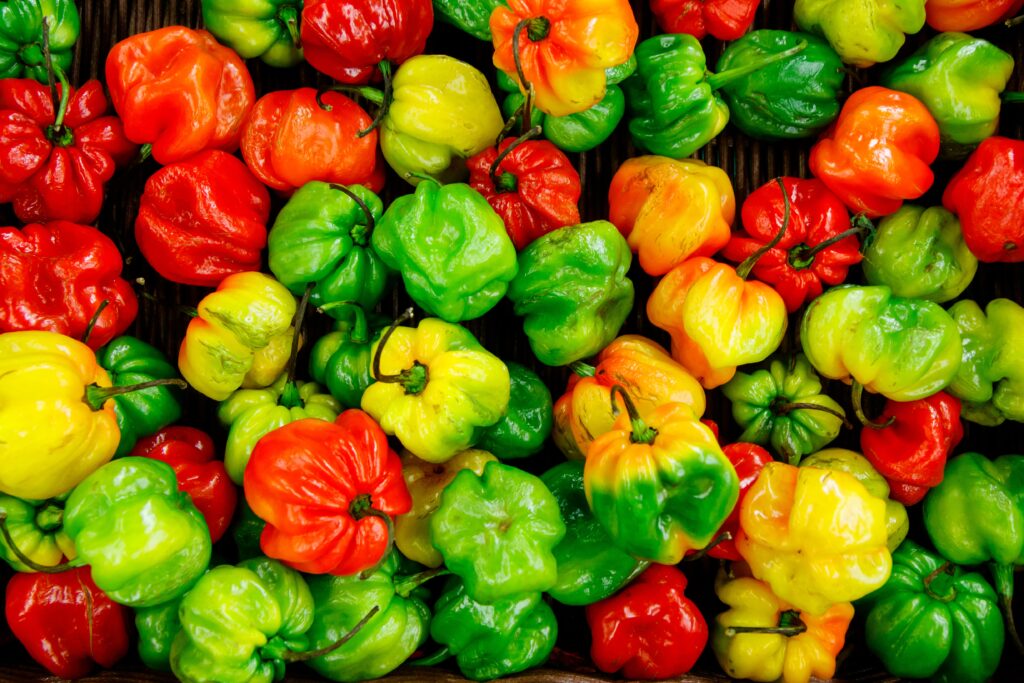 scotch bonnet peppers