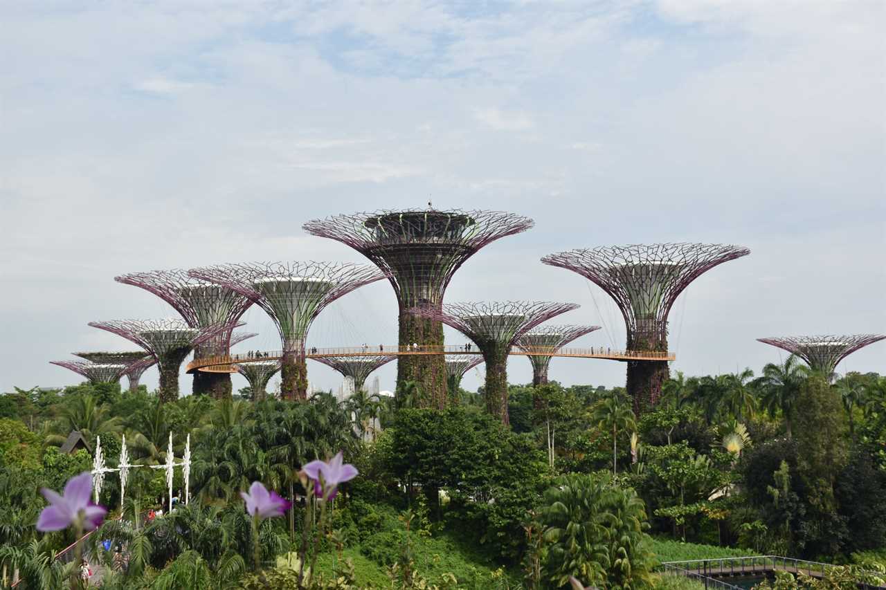 singapore botanic garden