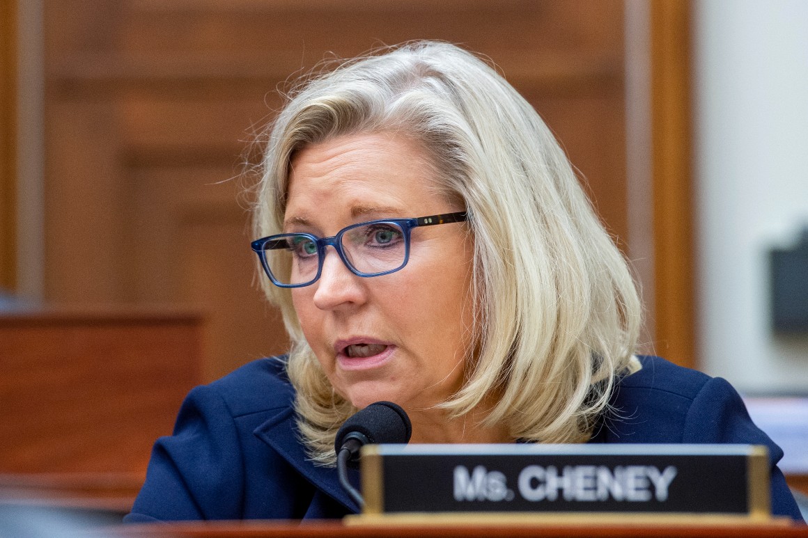 Peter Thiel takes on Liz Cheney