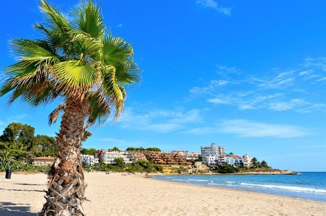 Spain's Top Places for Family Vacations