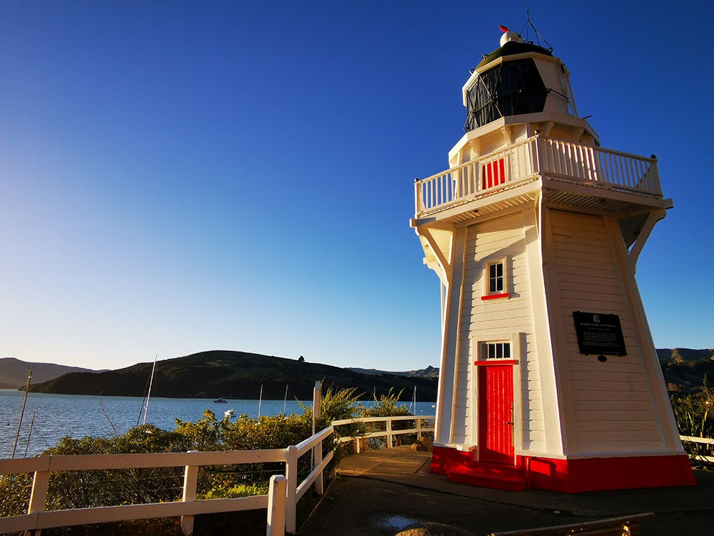 Cruise to Akaroa, New Zealand Top 10 Things To Do In Akaroa