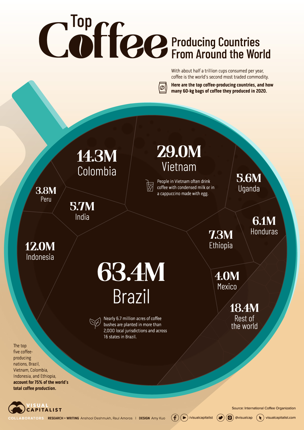 Top Coffee Producing Countries Voronoi