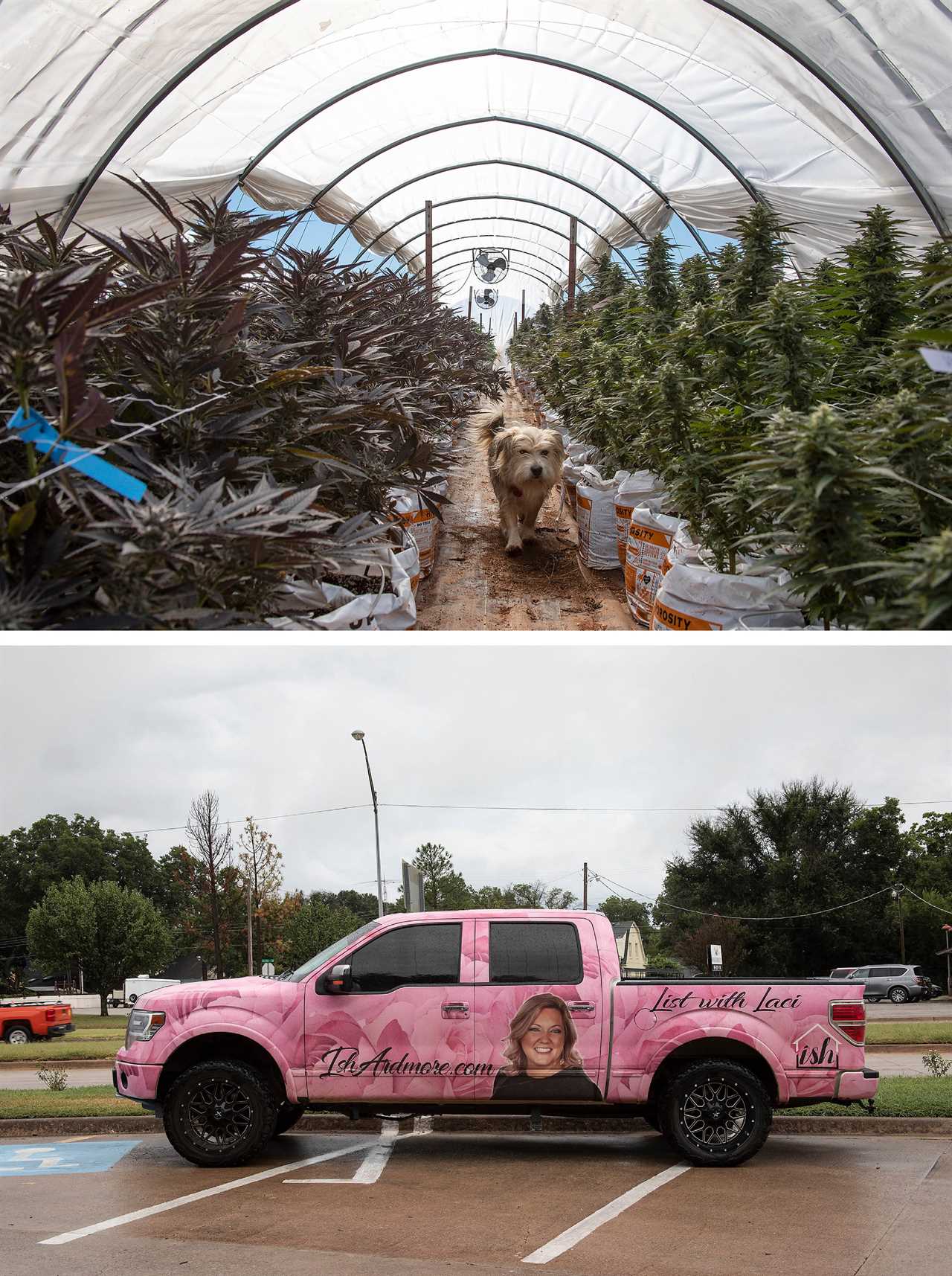 There are no rules right now: Inside Oklahoma's Surprise Weed Crackdown