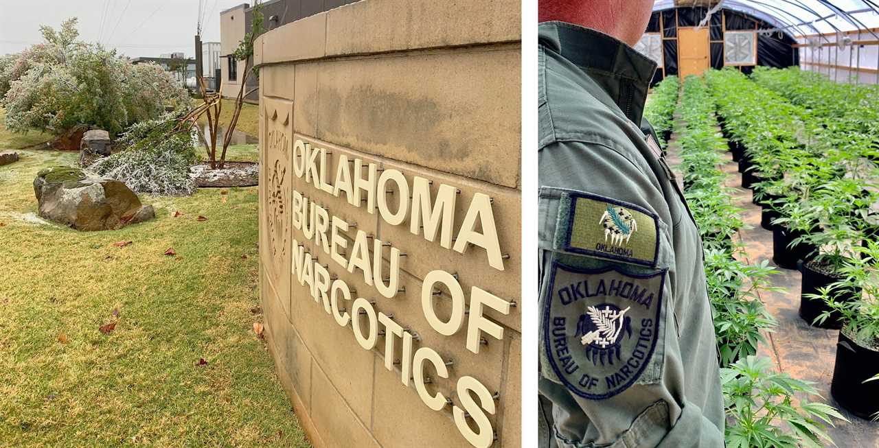 There are no rules right now: Inside Oklahoma's Surprise Weed Crackdown