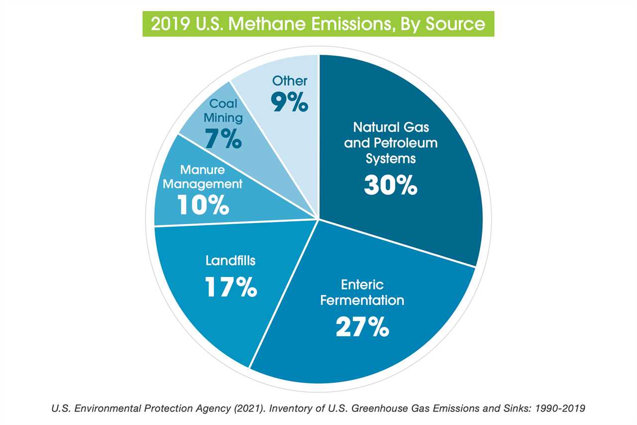  The Cow-Shaped Hole in Biden's Methane Plan