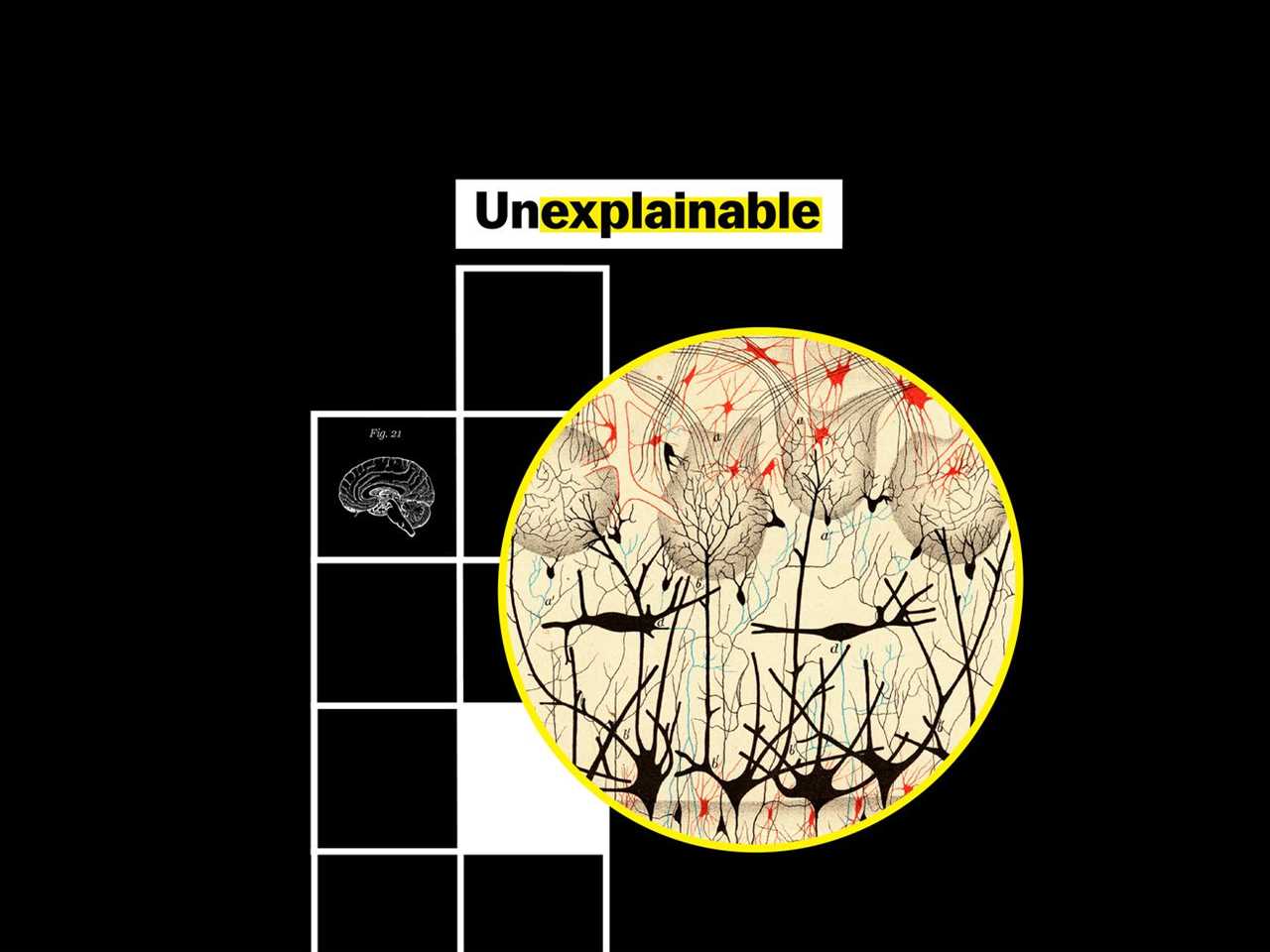 Is a brain a telegraph, telephone or computer? All of the above.