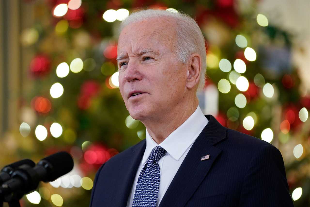 Joe Biden's 2-Day Zoom Program to Save Democracy