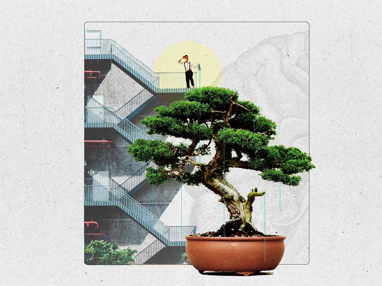 An illustration of a person on top of a staircase looking down at a large bonsai tree.