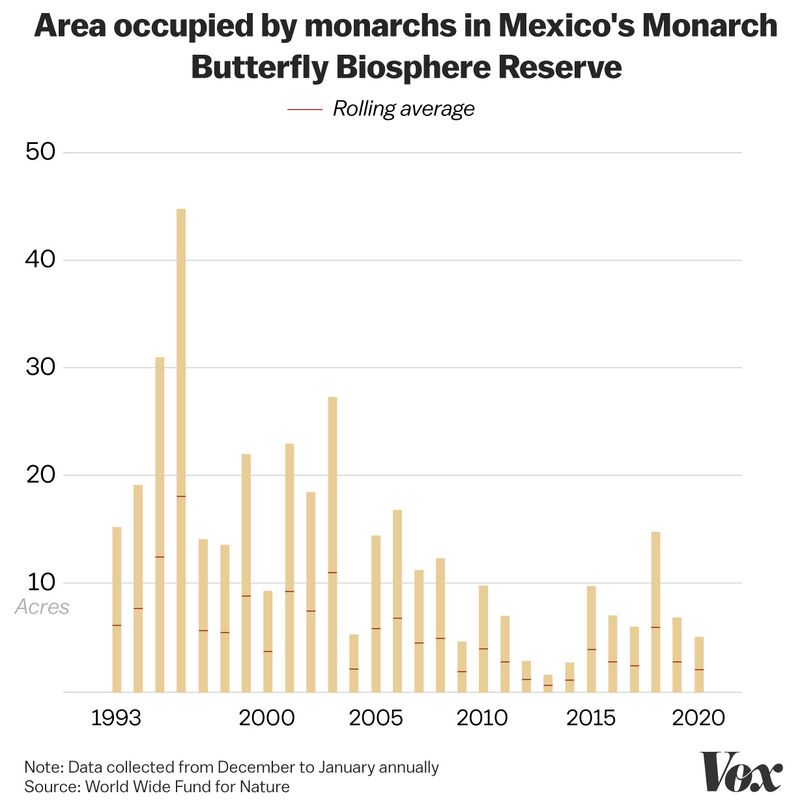 A chart showing the decrease in the area occupied by monarch butterflies. 