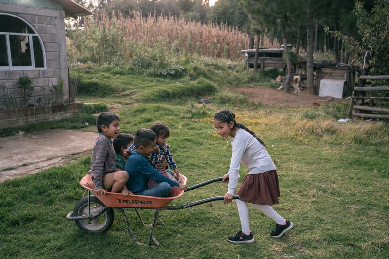 A young girl pushes a wheelbarrow containing four smaller children around a grassy yard.