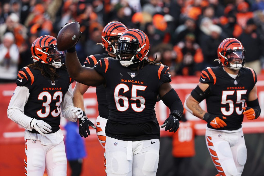 Bengals DT Larry Ogunjobi.