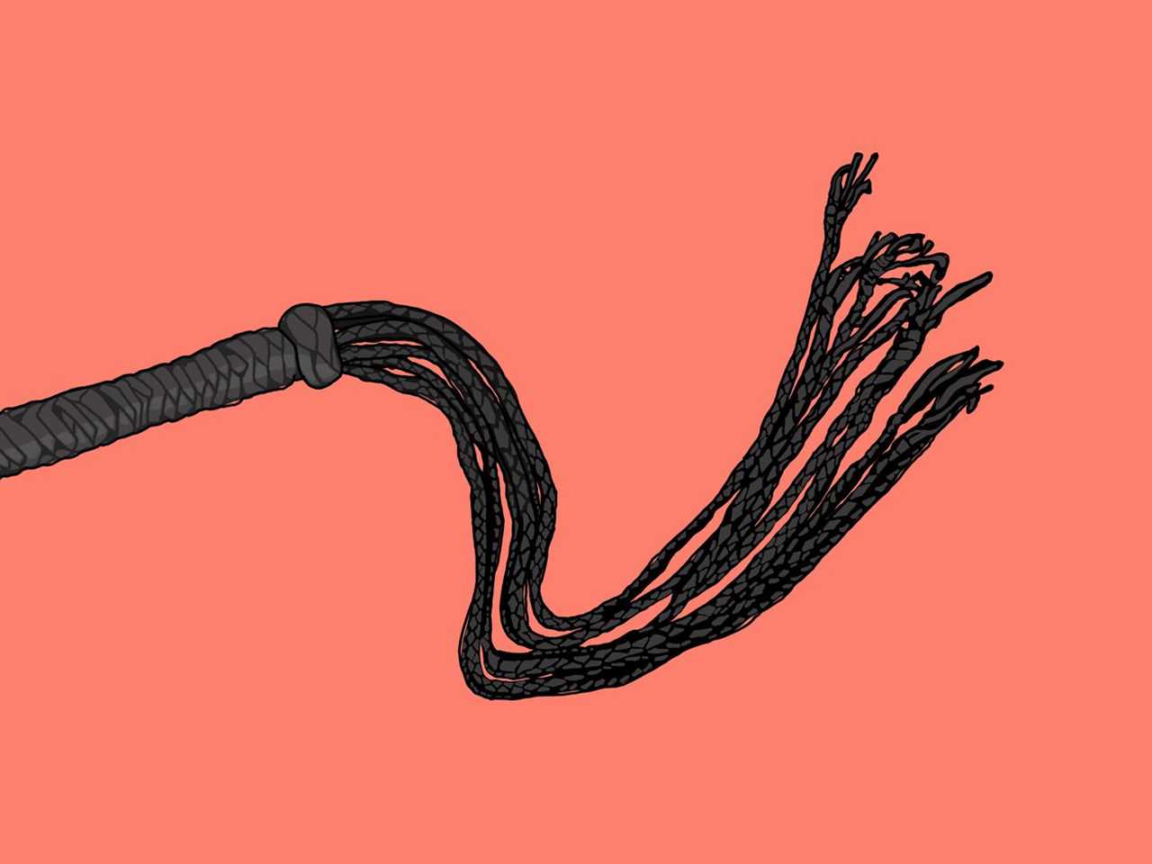 A black whip on a reddish background.