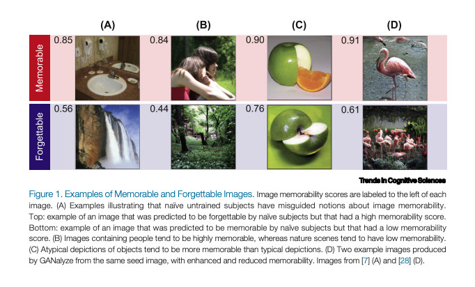 A collection of eight images divided into two rows marked “memorable” in the first row and “forgettable” in the second row. There are also four columns marked a, b, c and d. The memorable row from a through d show images of: a sink in a bathroom, two individuals sitting in with their heads together, an apple with a slice out of it and an orange slice where the apple slice should be, a flamingo. The forgettable row shows a waterfall, a forest, an apple sliced in half and a flock of flamingos.