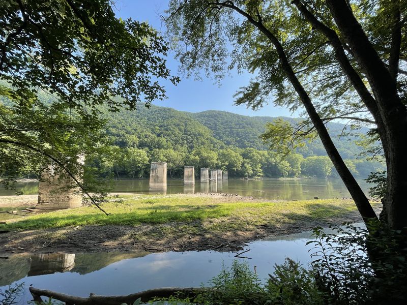 A photo showing apparently man-made, cylindrical structures crossing a river. A forest is in the background that climbs up some hills. In the foreground dark branches of trees frame the image.