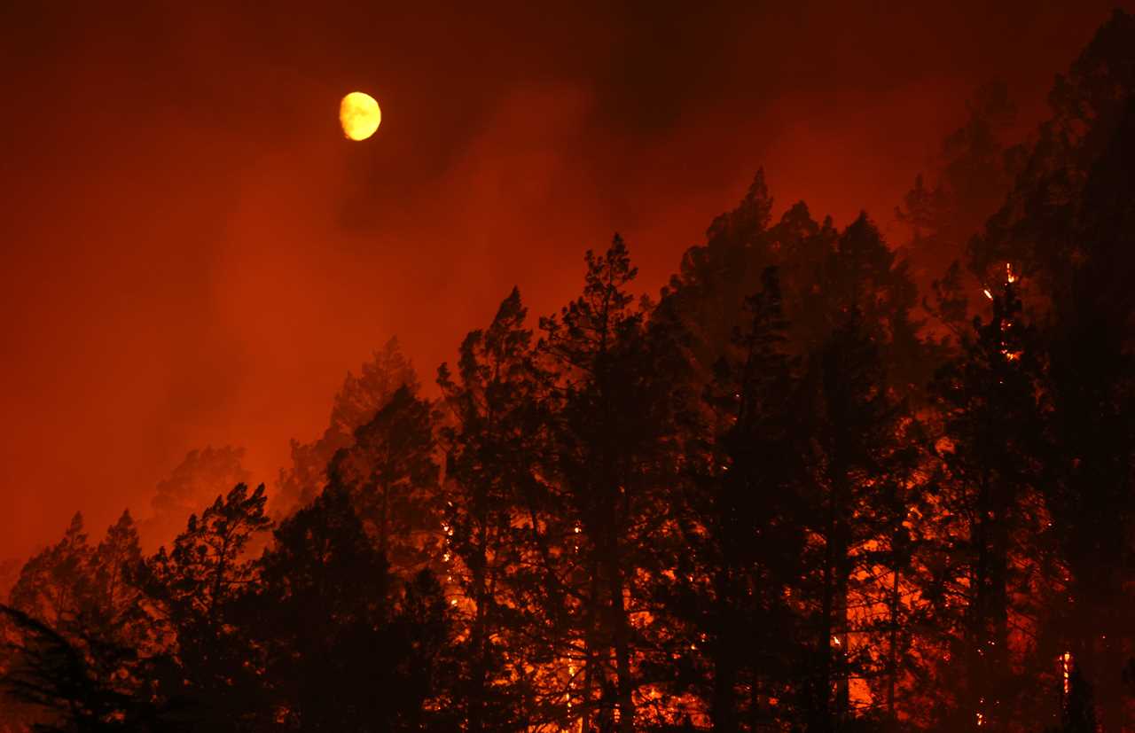 Do you want to soak up the February sun and enjoy it? California climate change guilt is not to be ignored