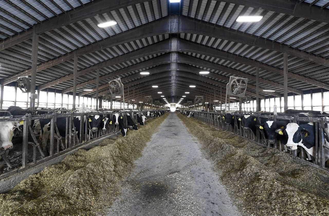 California's emission goals are being supported by cow manure from New York.