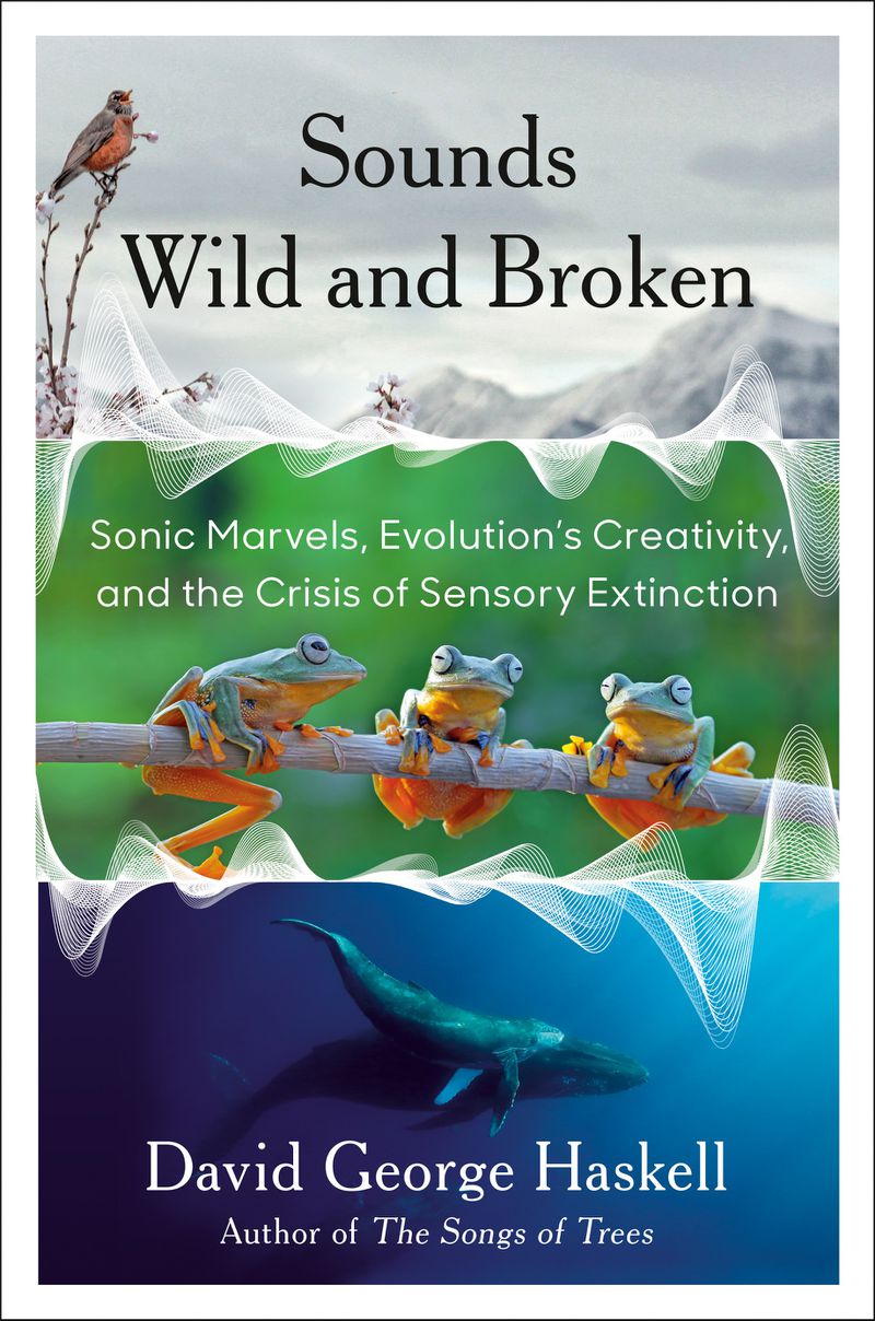 The cover of “Sounds Wild and Broken” is a triptych showing a bird, three frogs sitting on a stick, and whales swimming in the ocean, bordered by depictions of sound waves.