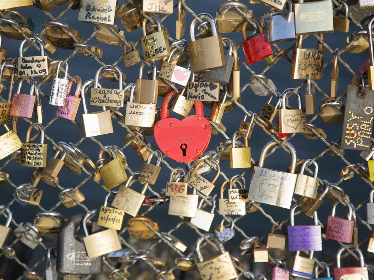 Padlocks on a fence.