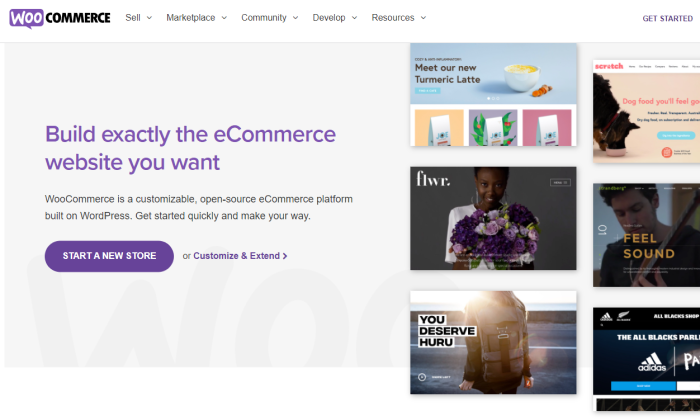 WooCommerce main page for WordPress Vs Wix