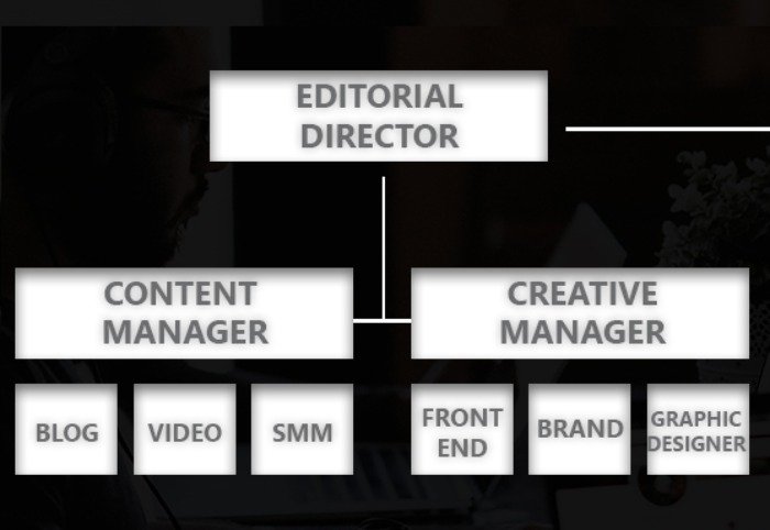 Types of Marketing Organizational Structures - Digital Marketing Organizational Structure