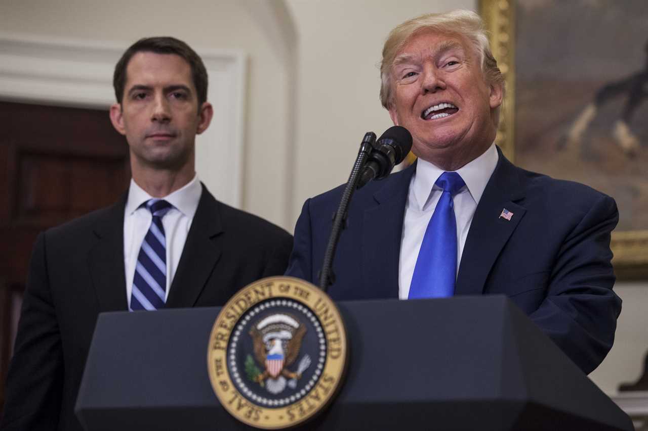 Tom Cotton's rigid conservatism