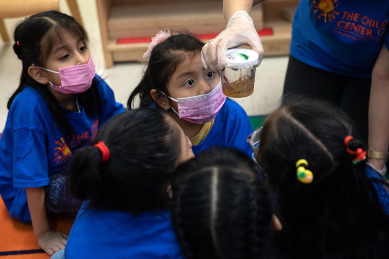 A teacher’s gloved hand passes a glass jar with plants and caterpillars inside it around a group of young children, who are looking at it. 