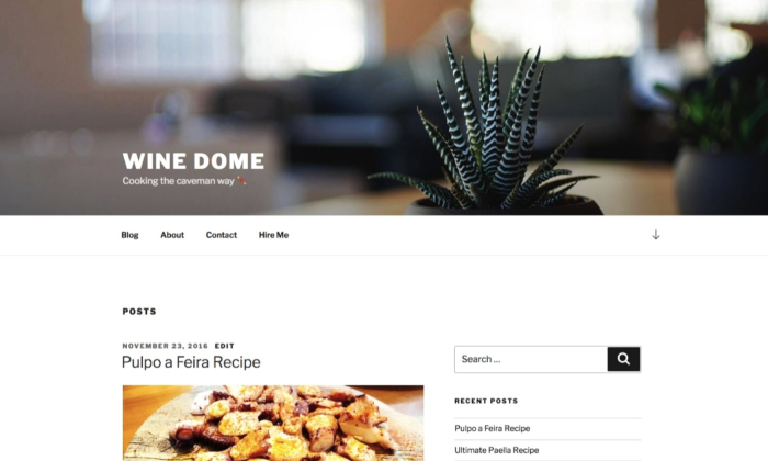 Wine Dome theme example page for How To Build a WordPress Website