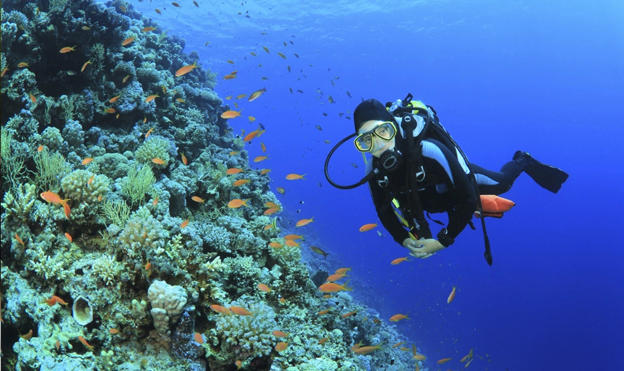 5 Best Places for Scuba Diving in the USA