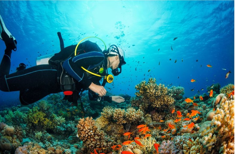 5 Best Places for Scuba Diving in the USA