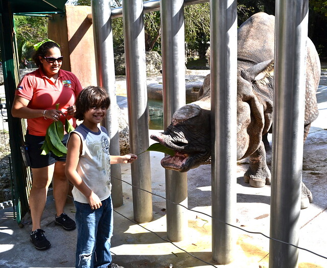 feeding animals at miami metro zoo