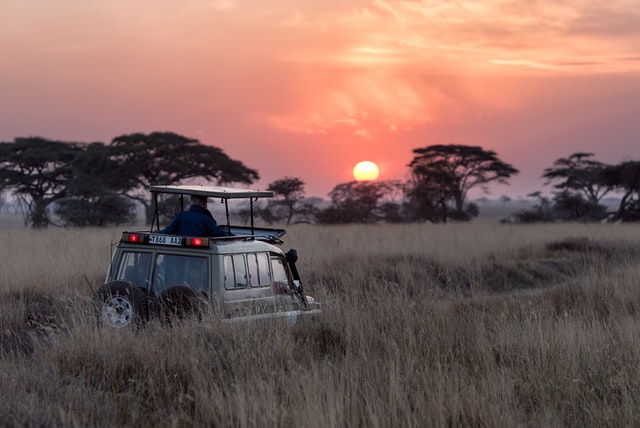 5 Unmissable 2023 Safari Destinations