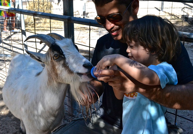 feeding animal at jungle zoo miami