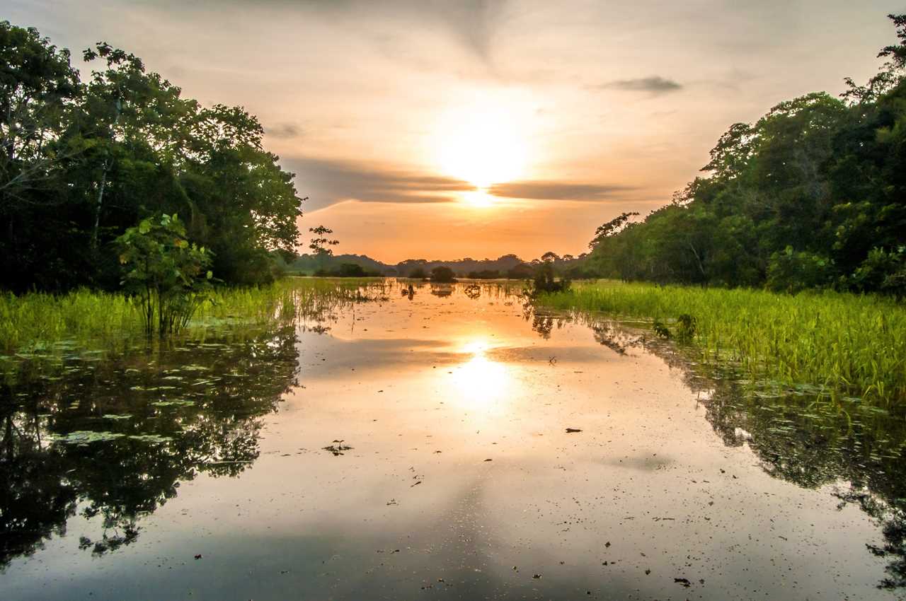 amazon river in amazon rainforest